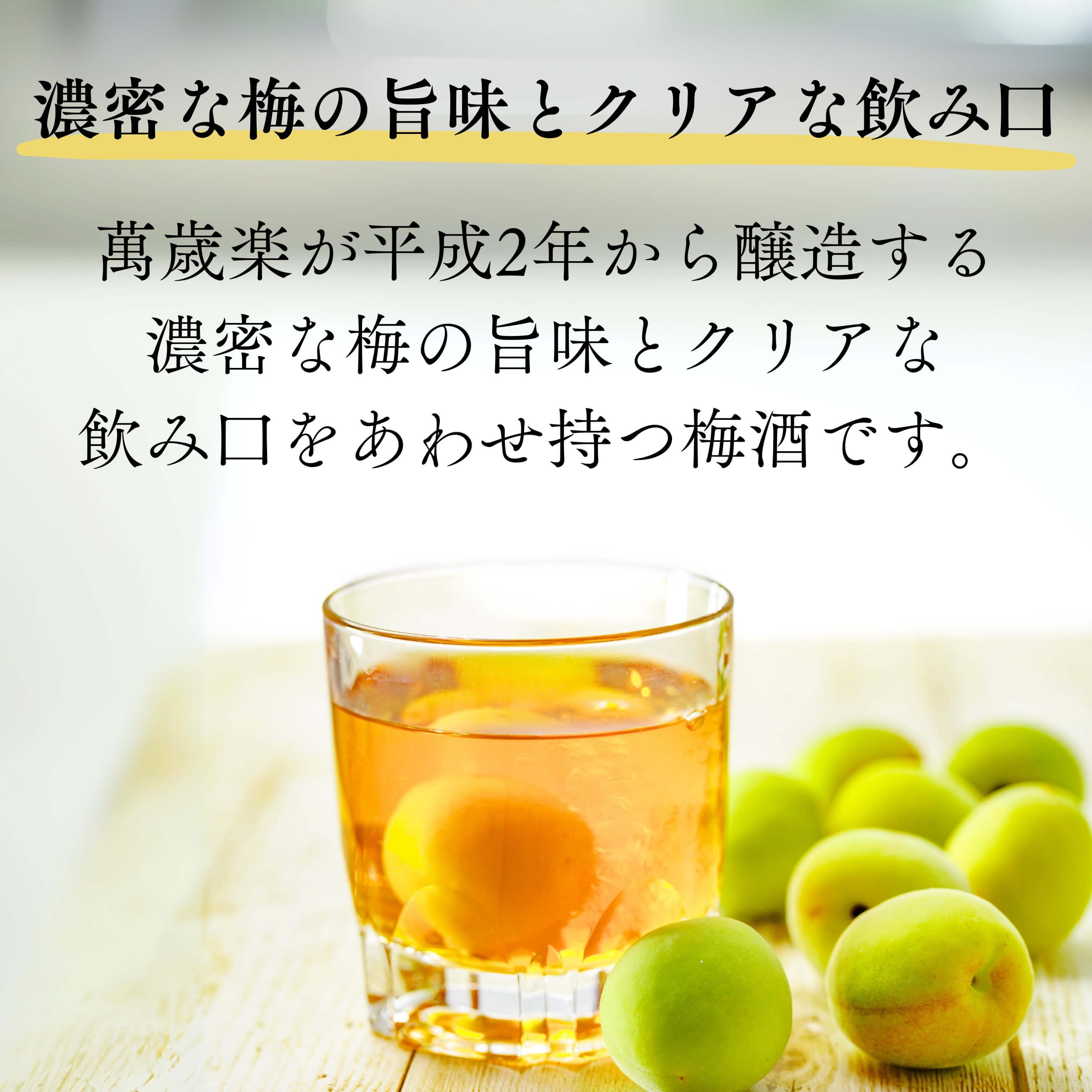 小堀酒造】【萬歳楽】濃厚な梅の旨みとキレの良いクリアで上品飲み口